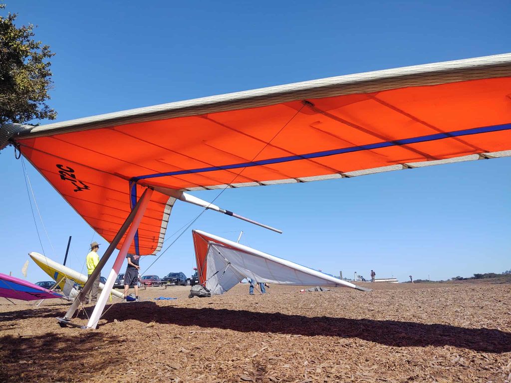 Wills Wing T2C 154 for sale